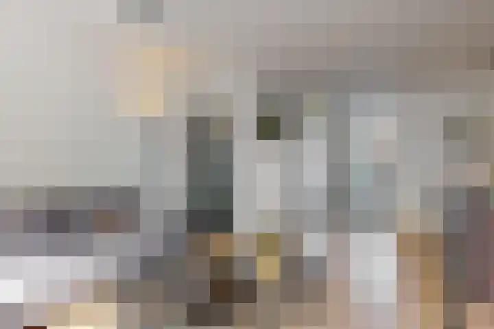 Ekster 90 Hoorn thumbnail 15