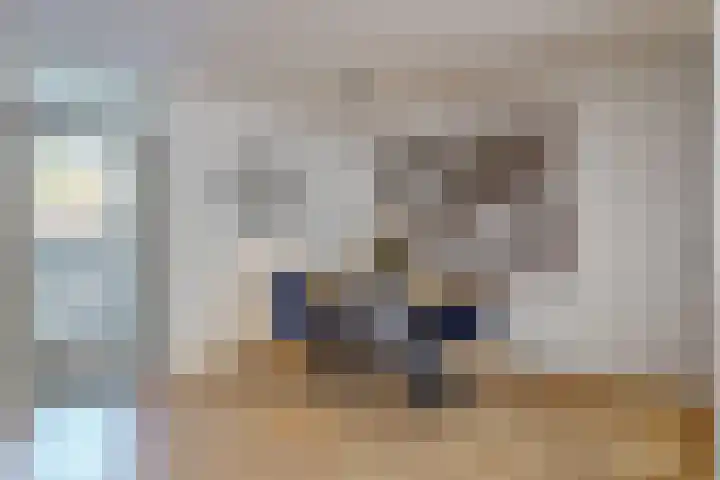 Ekster 90 Hoorn thumbnail 18