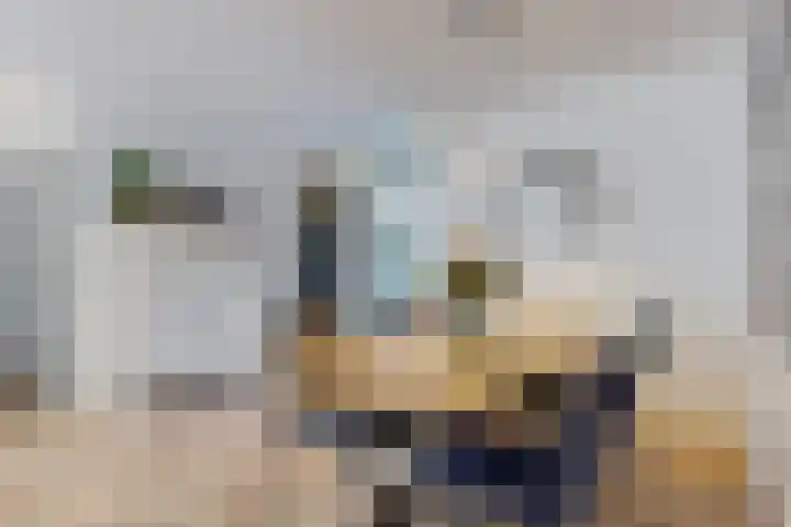 Ekster 90 Hoorn thumbnail 19