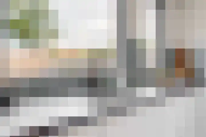 Ekster 90 Hoorn thumbnail 21