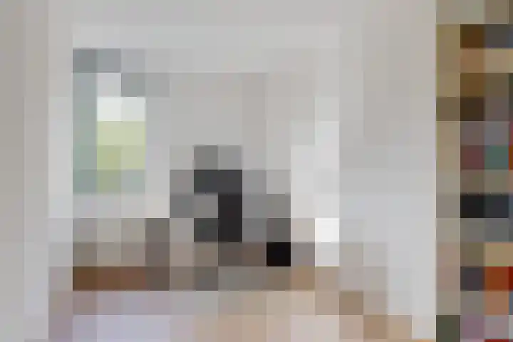 Ekster 90 Hoorn thumbnail 25