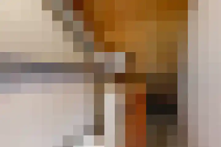 Ekster 90 Hoorn thumbnail 31
