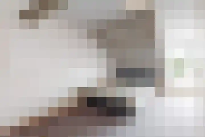 Ekster 90 Hoorn thumbnail 32