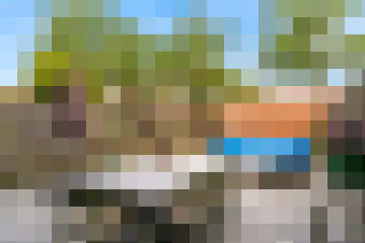 Ekster 90 Hoorn thumbnail 33