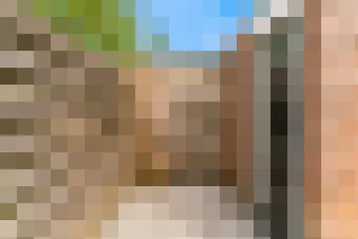 Ekster 90 Hoorn thumbnail 36