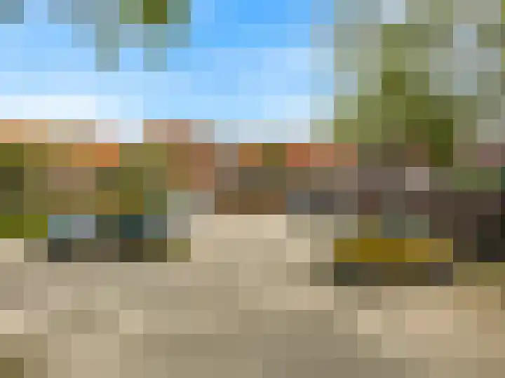 Ekster 90 Hoorn thumbnail 37