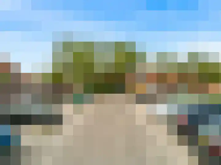Ekster 90 Hoorn thumbnail 38