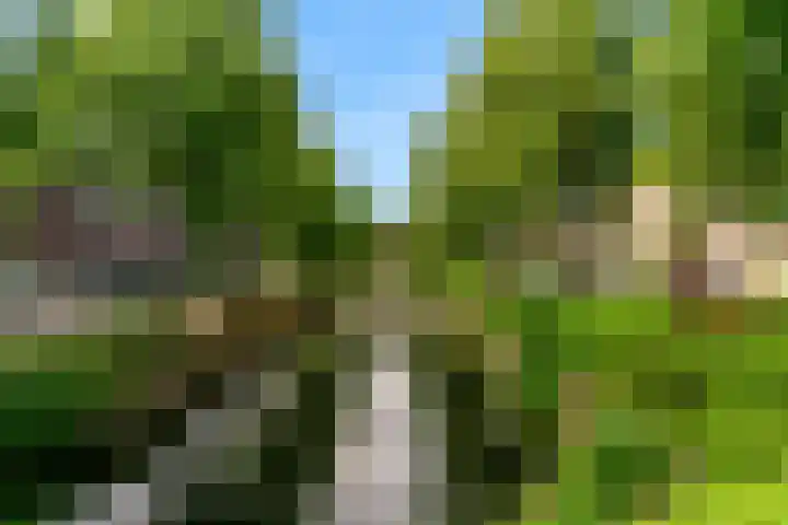 Ekster 90 Hoorn thumbnail 39
