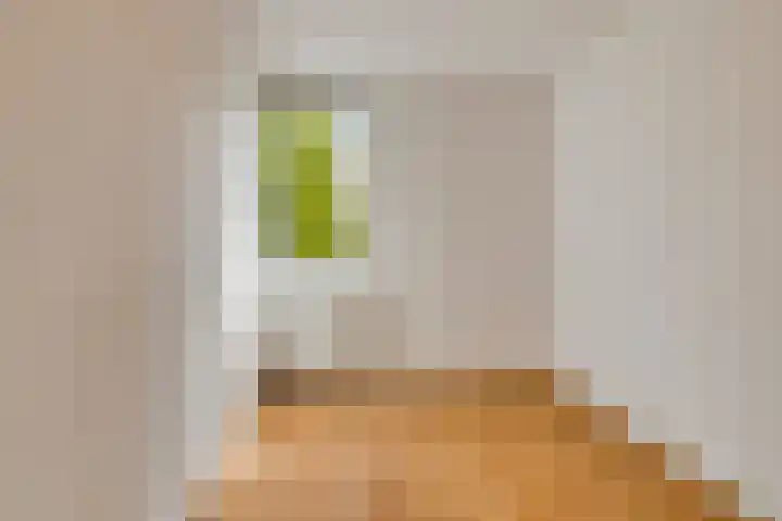 Ekster 96 Hoorn thumbnail 12