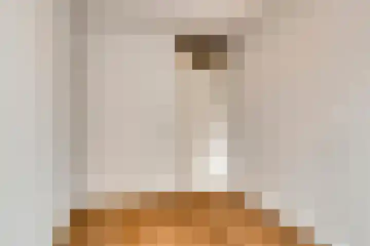 Ekster 96 Hoorn thumbnail 13