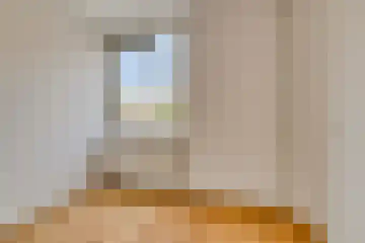 Ekster 96 Hoorn thumbnail 14