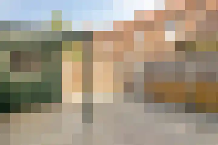 Ekster 96 Hoorn thumbnail 20
