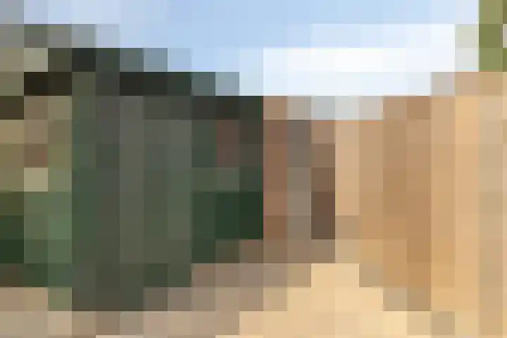 Ekster 96 Hoorn thumbnail 21