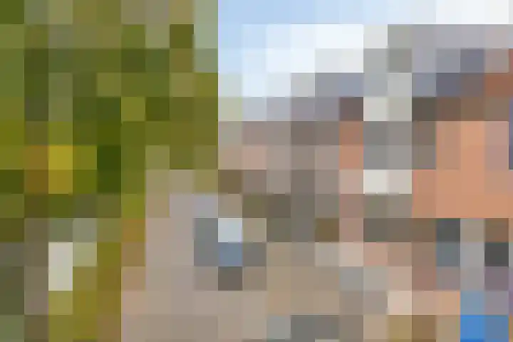 Ekster 96 Hoorn thumbnail 22