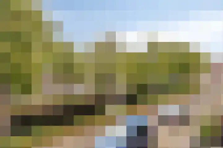 Ekster 96 Hoorn thumbnail 24