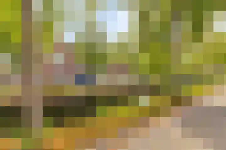 Ekster 96 Hoorn thumbnail 25