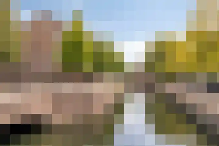 Ekster 96 Hoorn thumbnail 26