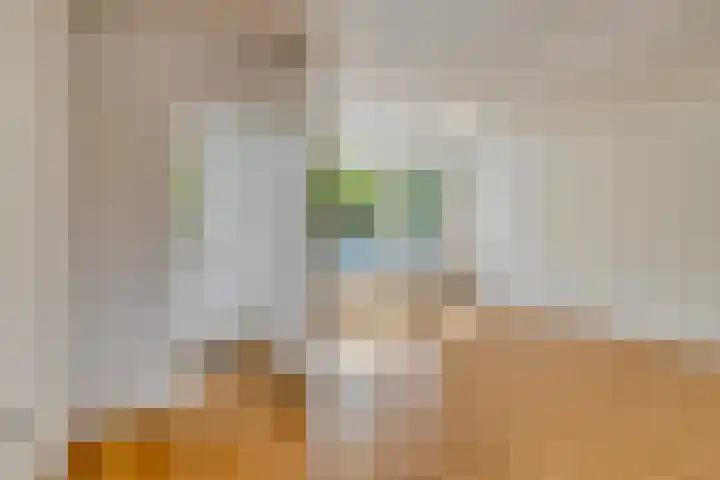 Ekster 96 Hoorn thumbnail 4