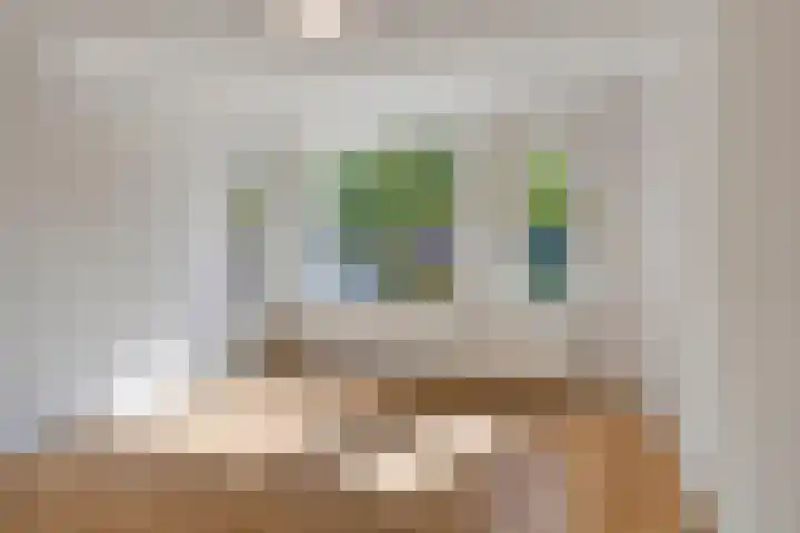 Ekster 96 Hoorn thumbnail 5