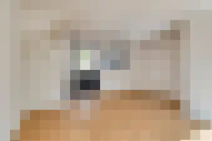 Ekster 96 Hoorn thumbnail 6