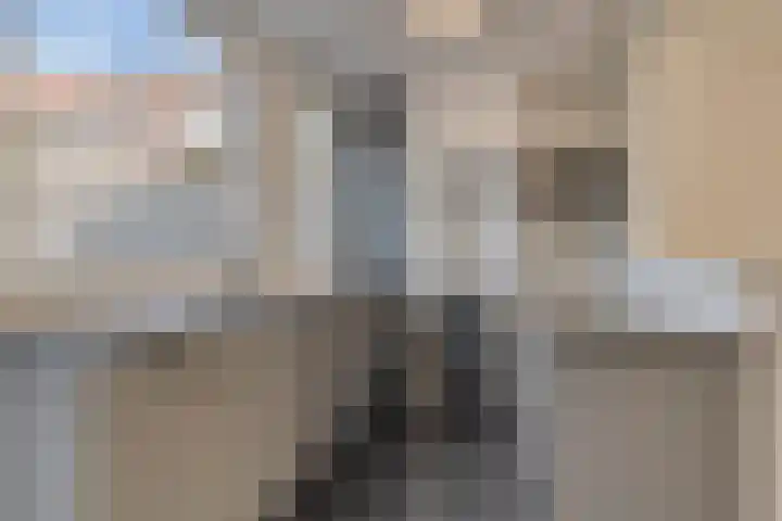Ekster 96 Hoorn thumbnail 9