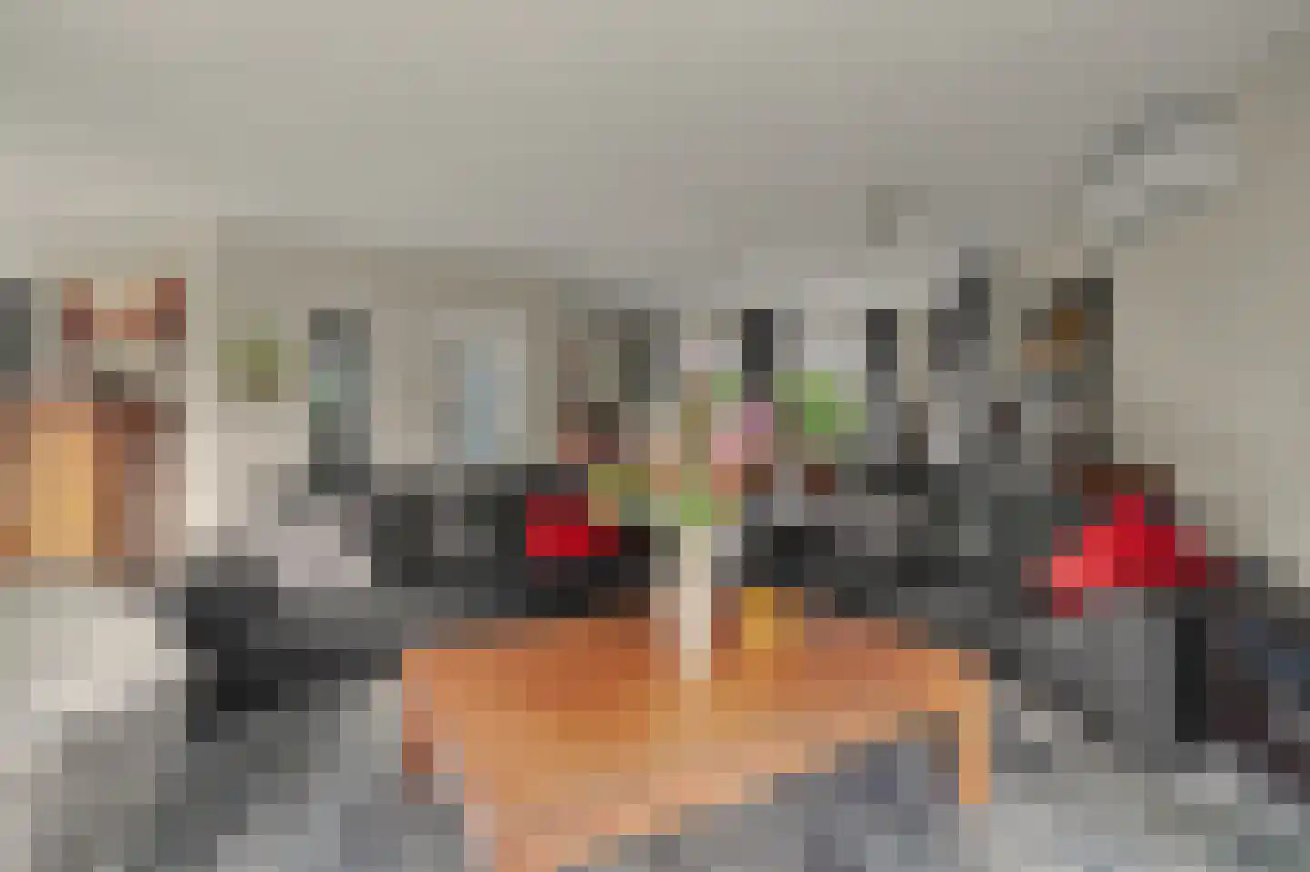 Eksterbos 20 Hilvarenbeek thumbnail 10