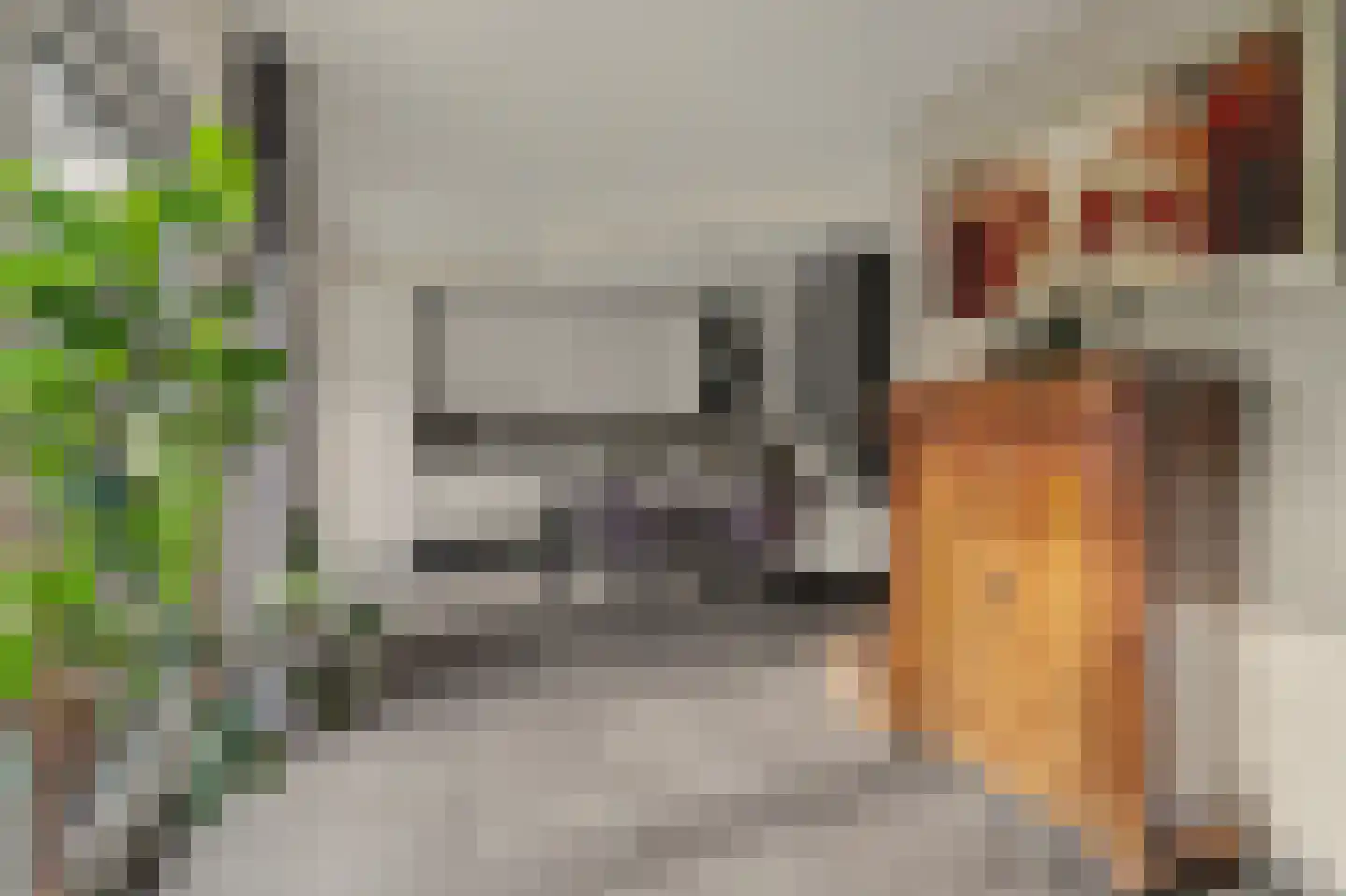 Eksterbos 20 Hilvarenbeek thumbnail 14