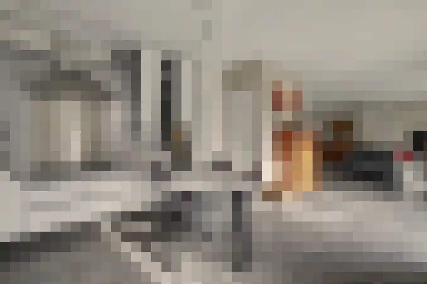 Eksterbos 20 Hilvarenbeek thumbnail 18