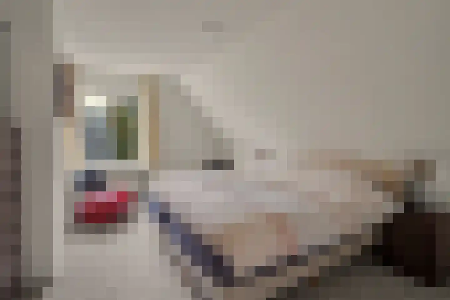 Eksterbos 20 Hilvarenbeek thumbnail 27