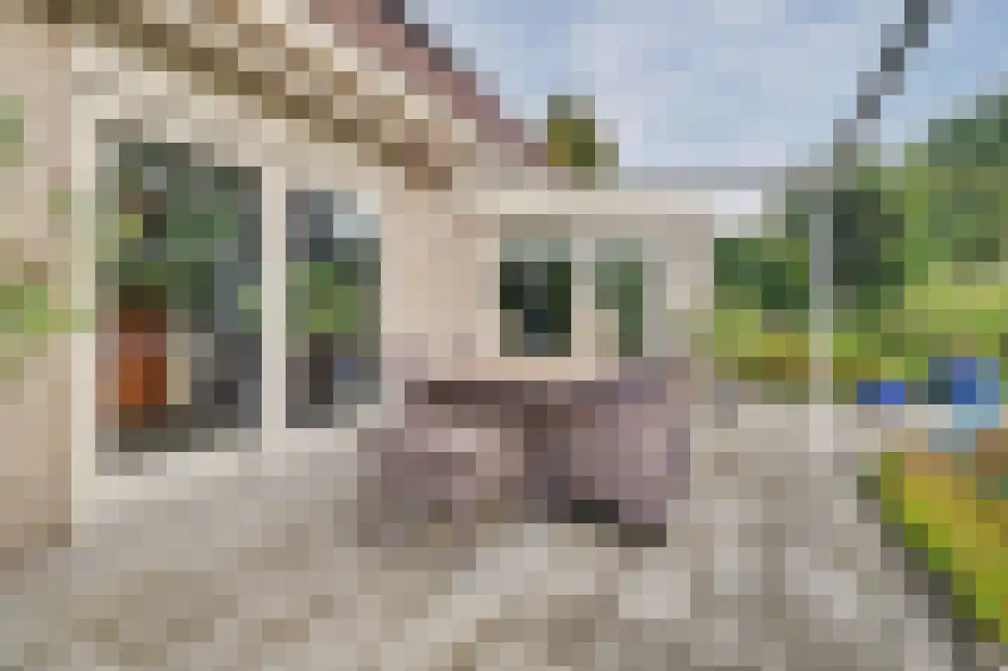 Eksterbos 20 Hilvarenbeek thumbnail 37