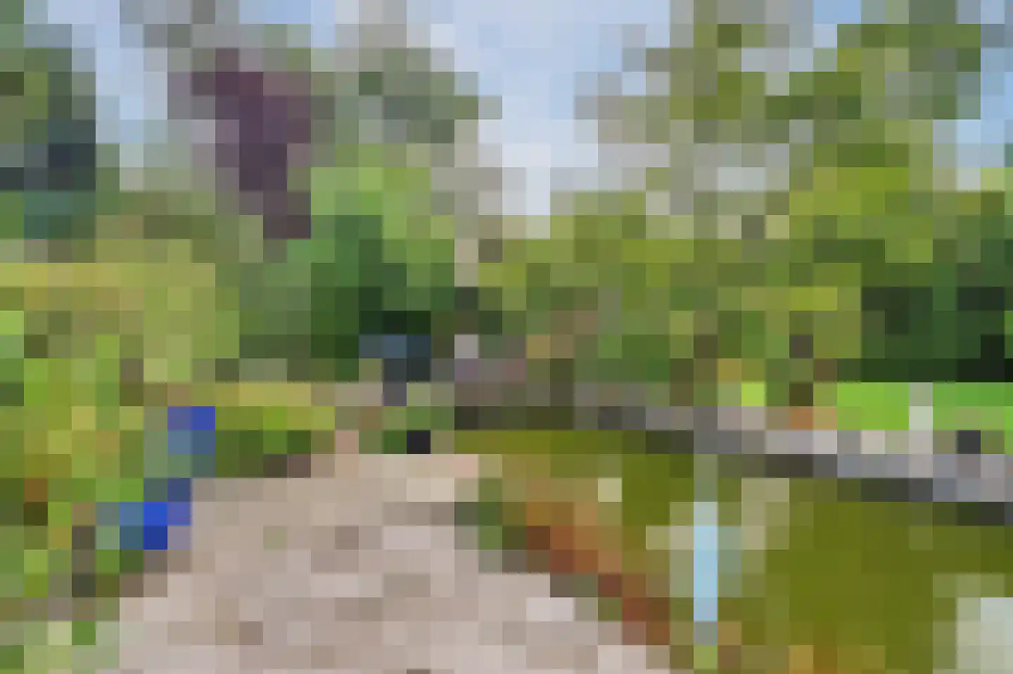 Eksterbos 20 Hilvarenbeek thumbnail 38