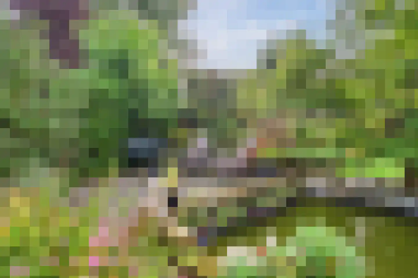 Eksterbos 20 Hilvarenbeek thumbnail 39