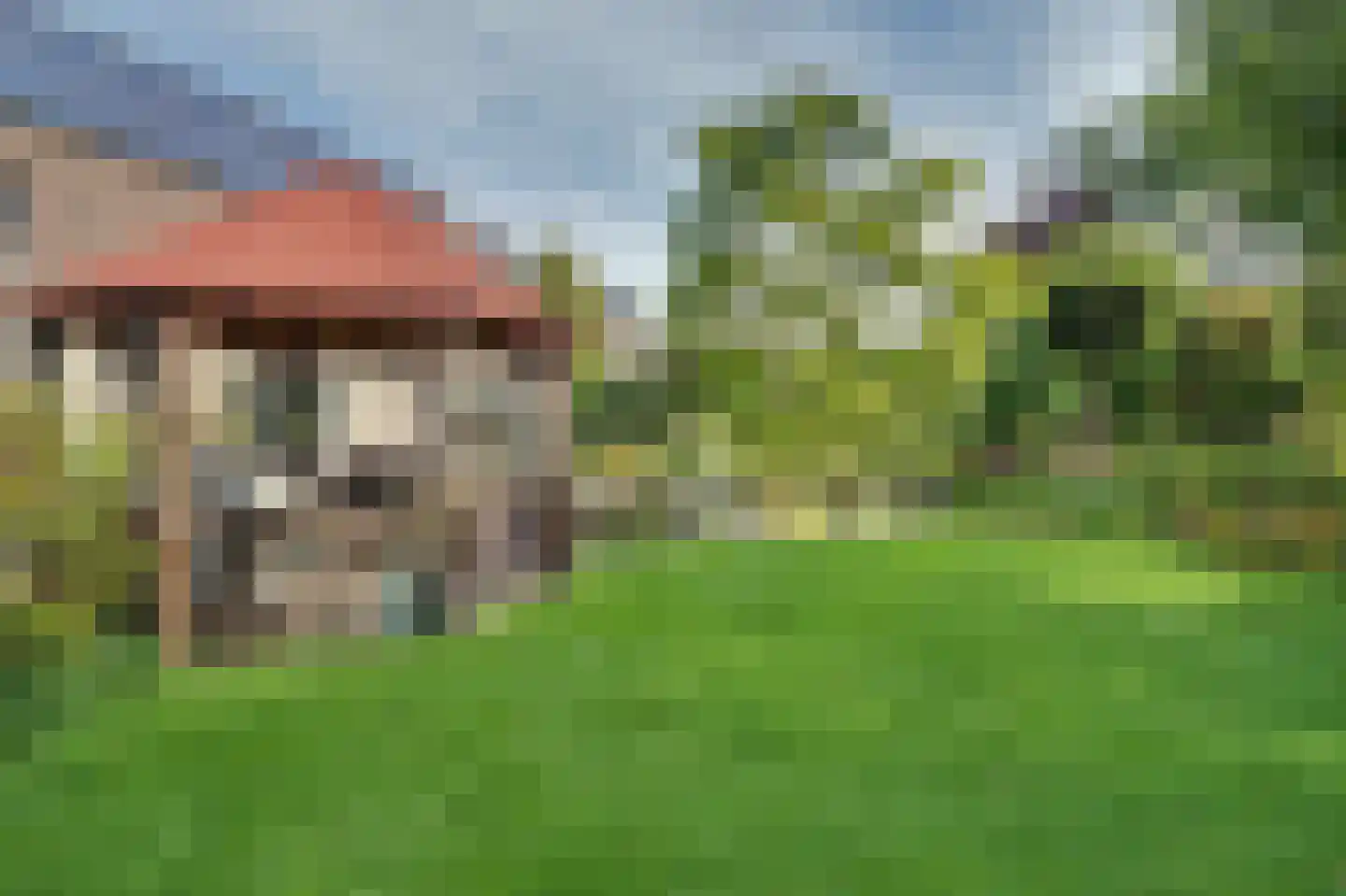 Eksterbos 20 Hilvarenbeek thumbnail 40