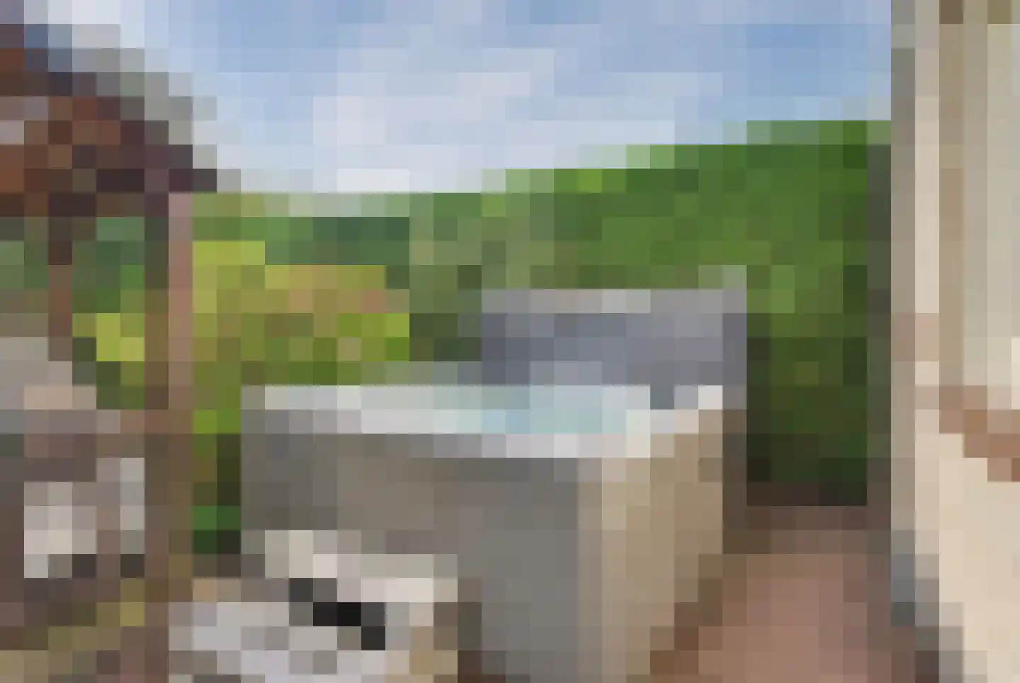 Eksterbos 20 Hilvarenbeek thumbnail 42
