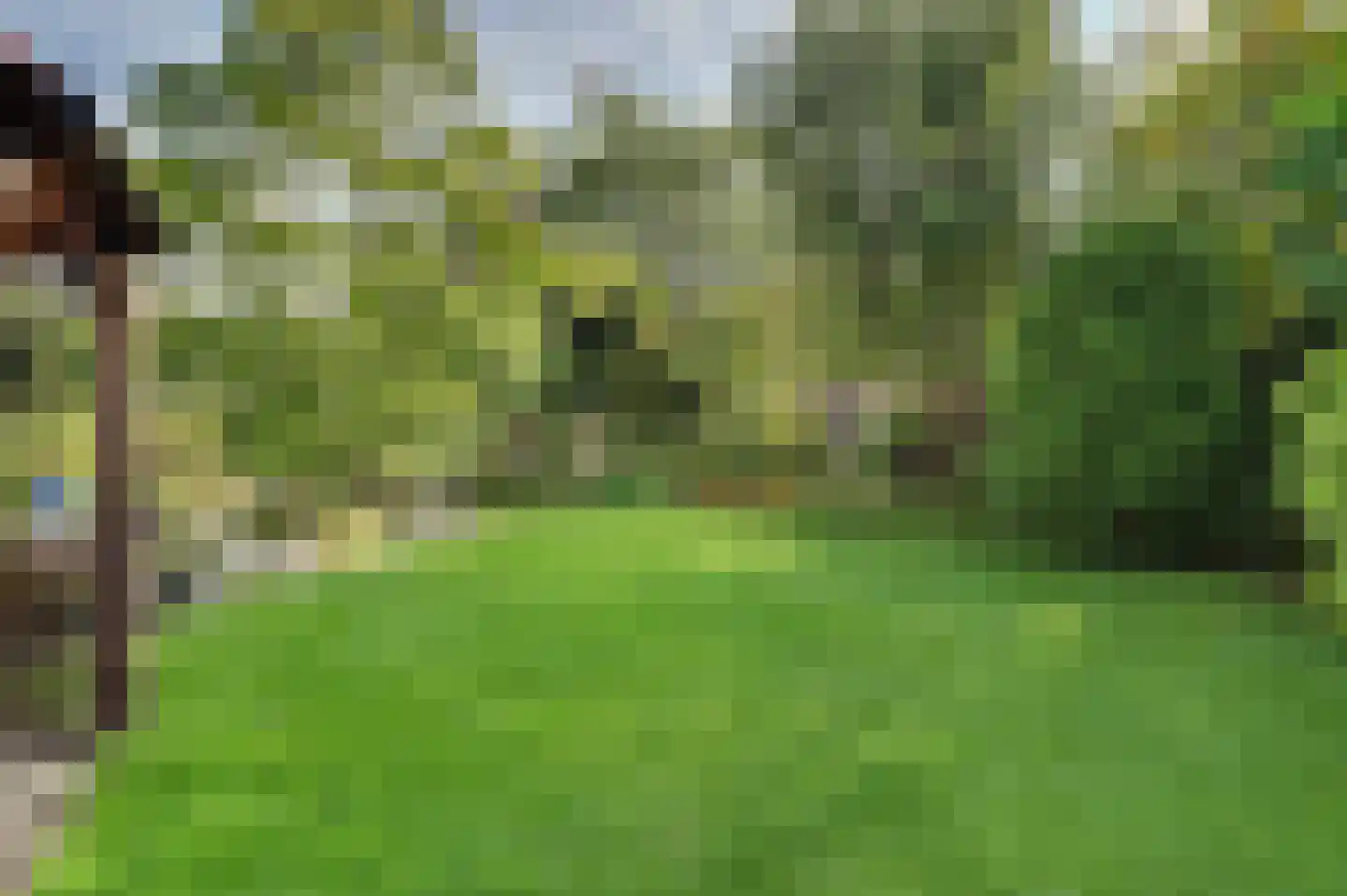 Eksterbos 20 Hilvarenbeek thumbnail 43