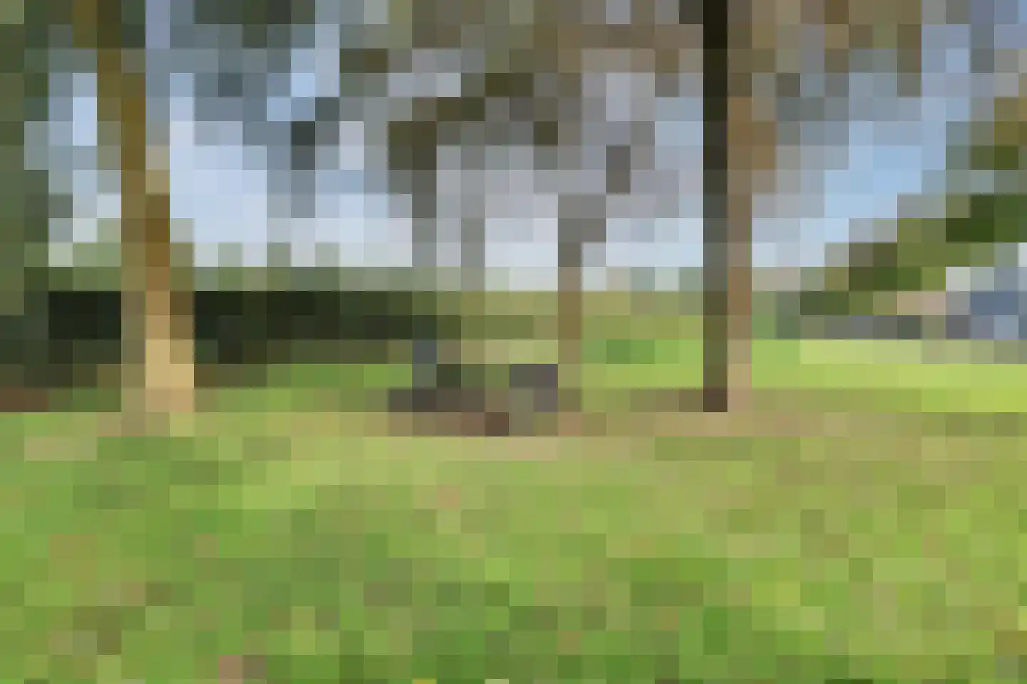 Eksterbos 20 Hilvarenbeek thumbnail 46