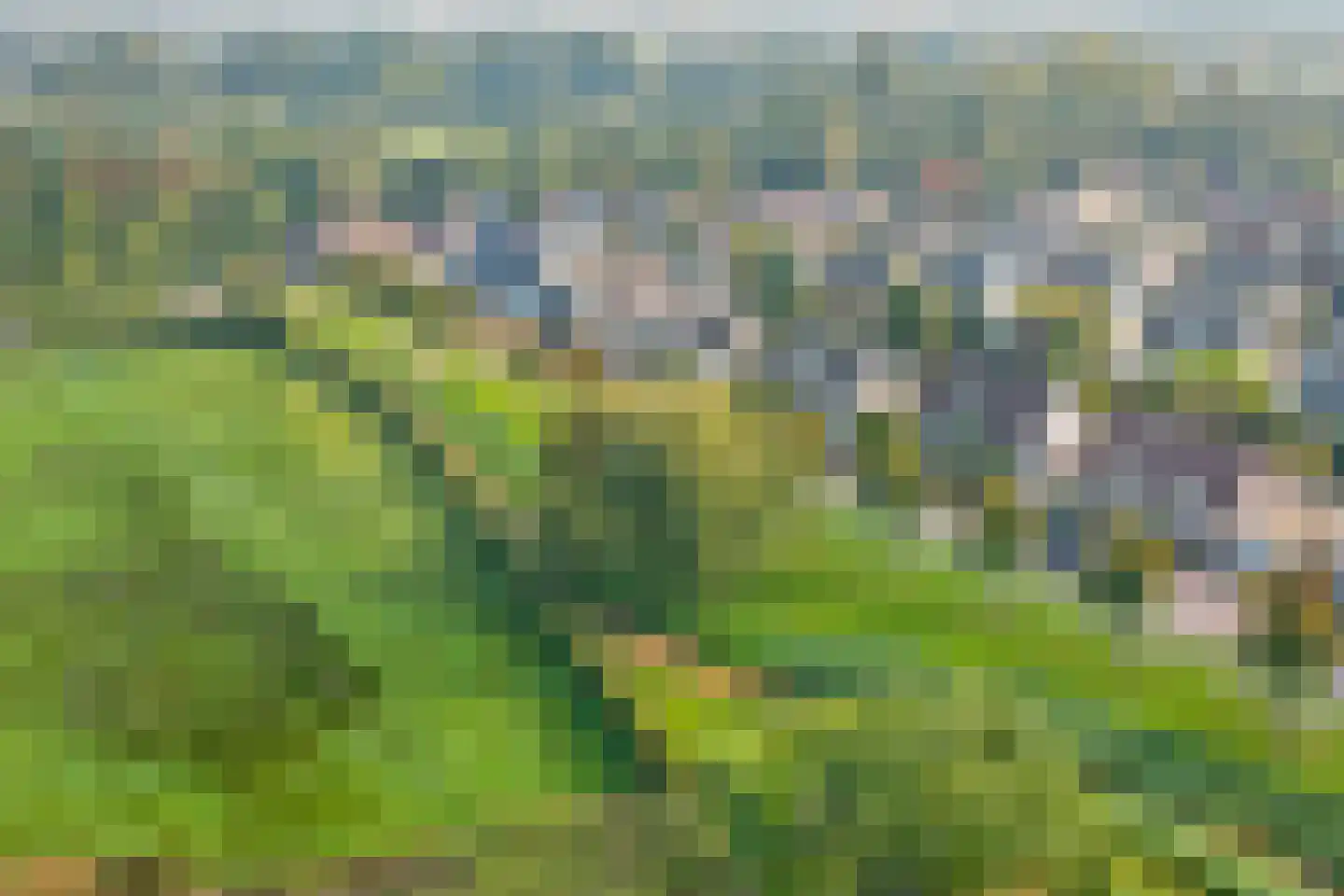 Eksterbos 20 Hilvarenbeek thumbnail 47