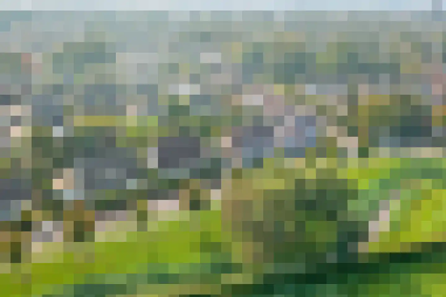 Eksterbos 20 Hilvarenbeek thumbnail 5