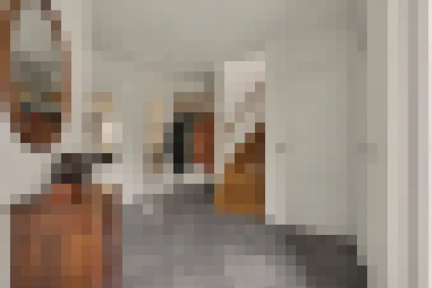 Eksterbos 20 Hilvarenbeek thumbnail 6