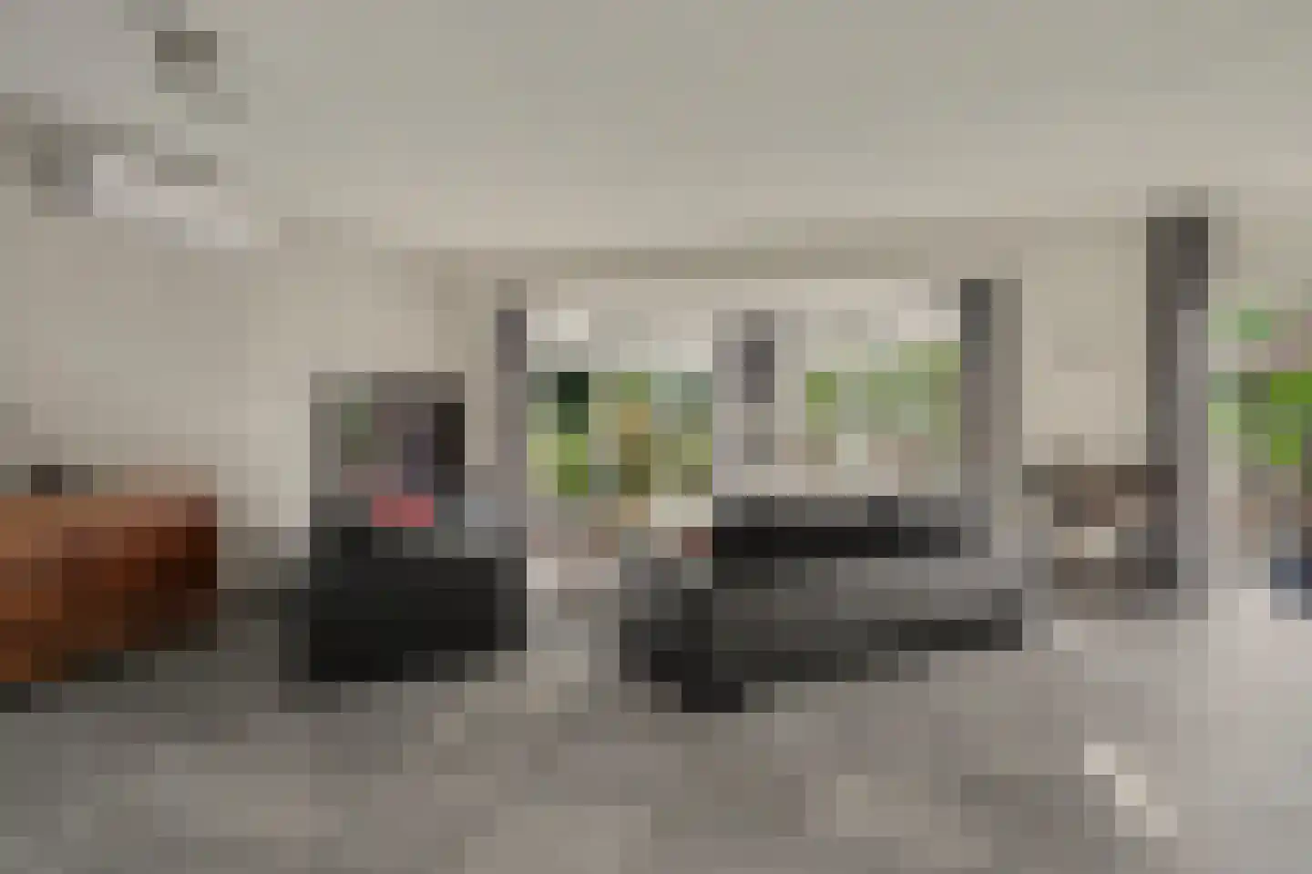 Eksterbos 20 Hilvarenbeek thumbnail 8