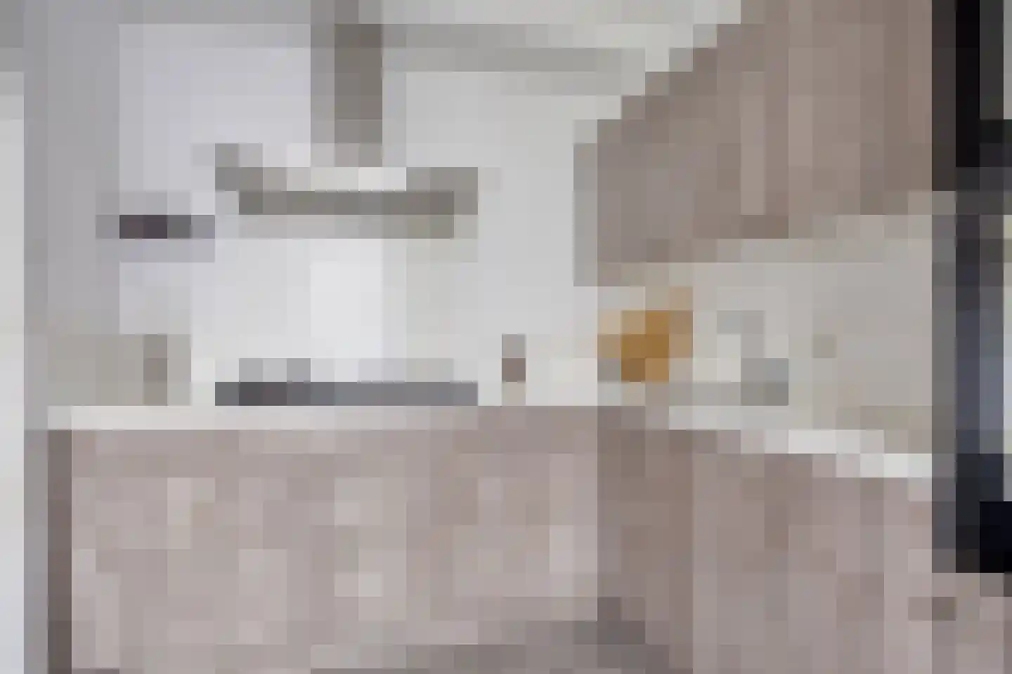 Eksterdonk 22 Veghel thumbnail 16