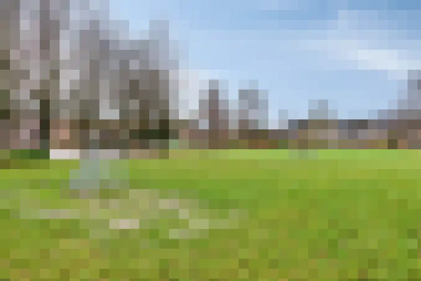 Eksterdonk 22 Veghel thumbnail 32