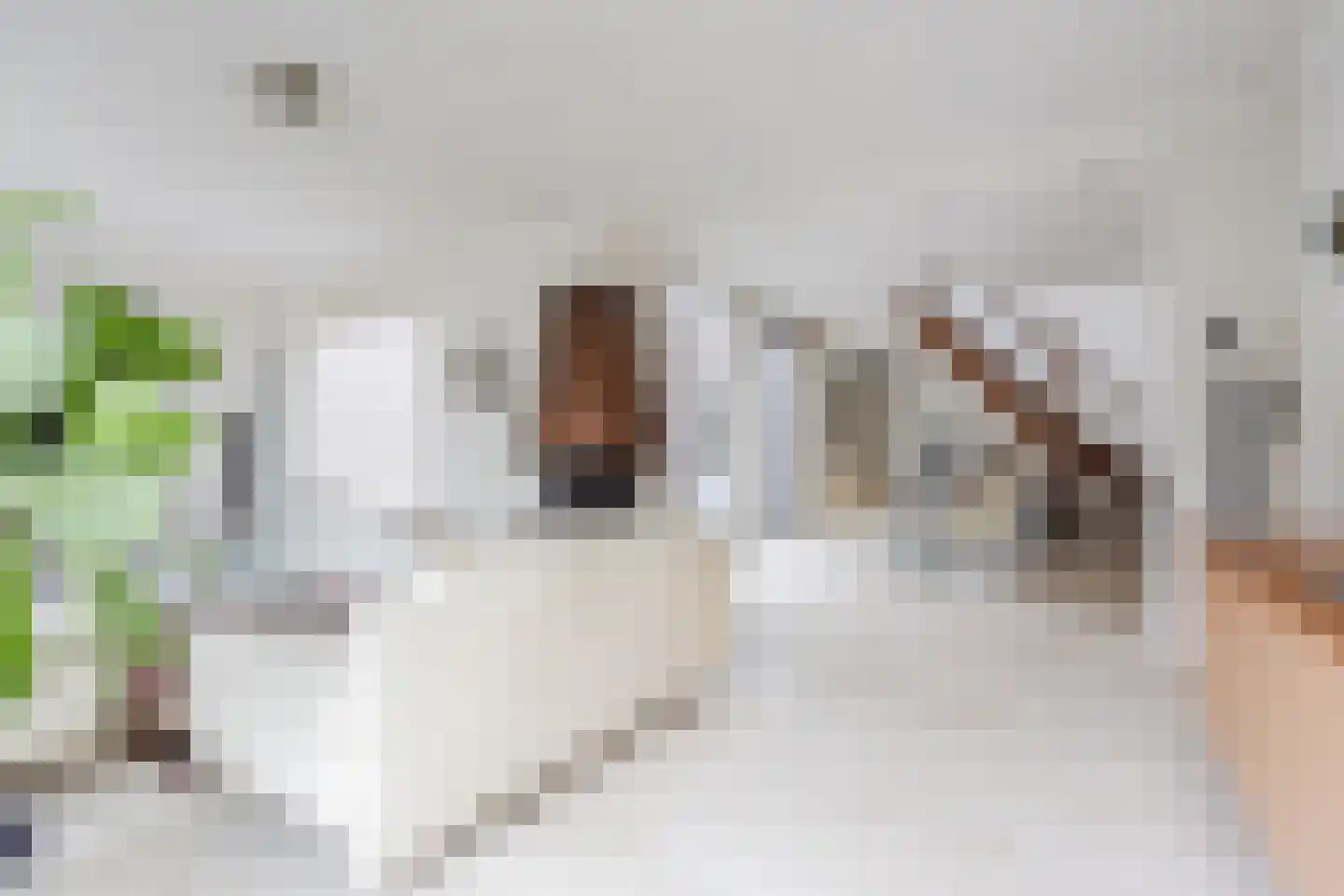 Eksterdonk 8 Veghel thumbnail 10