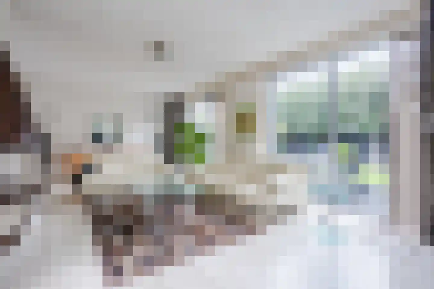 Eksterdonk 8 Veghel thumbnail 11