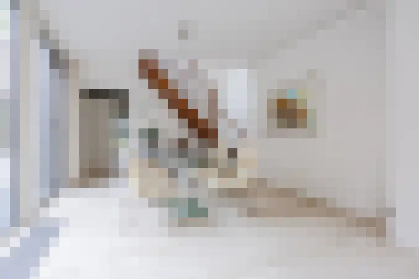 Eksterdonk 8 Veghel thumbnail 12
