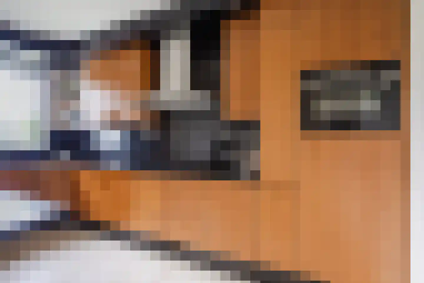 Eksterdonk 8 Veghel thumbnail 13