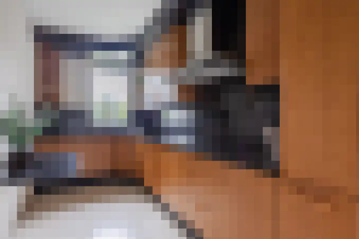 Eksterdonk 8 Veghel thumbnail 14