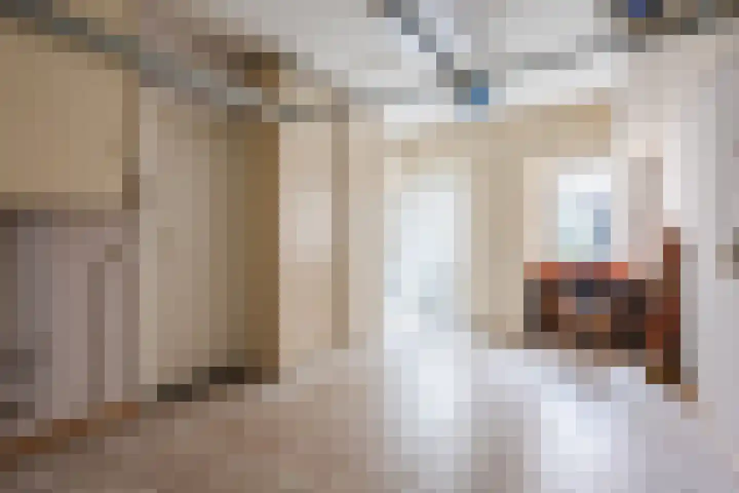 Eksterdonk 8 Veghel thumbnail 15