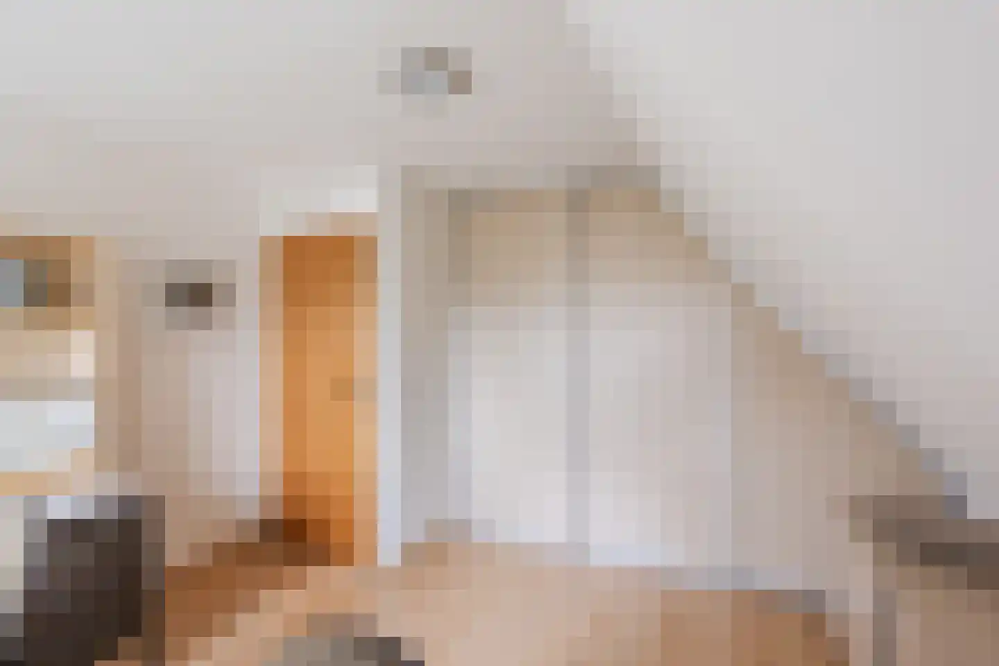 Eksterdonk 8 Veghel thumbnail 21