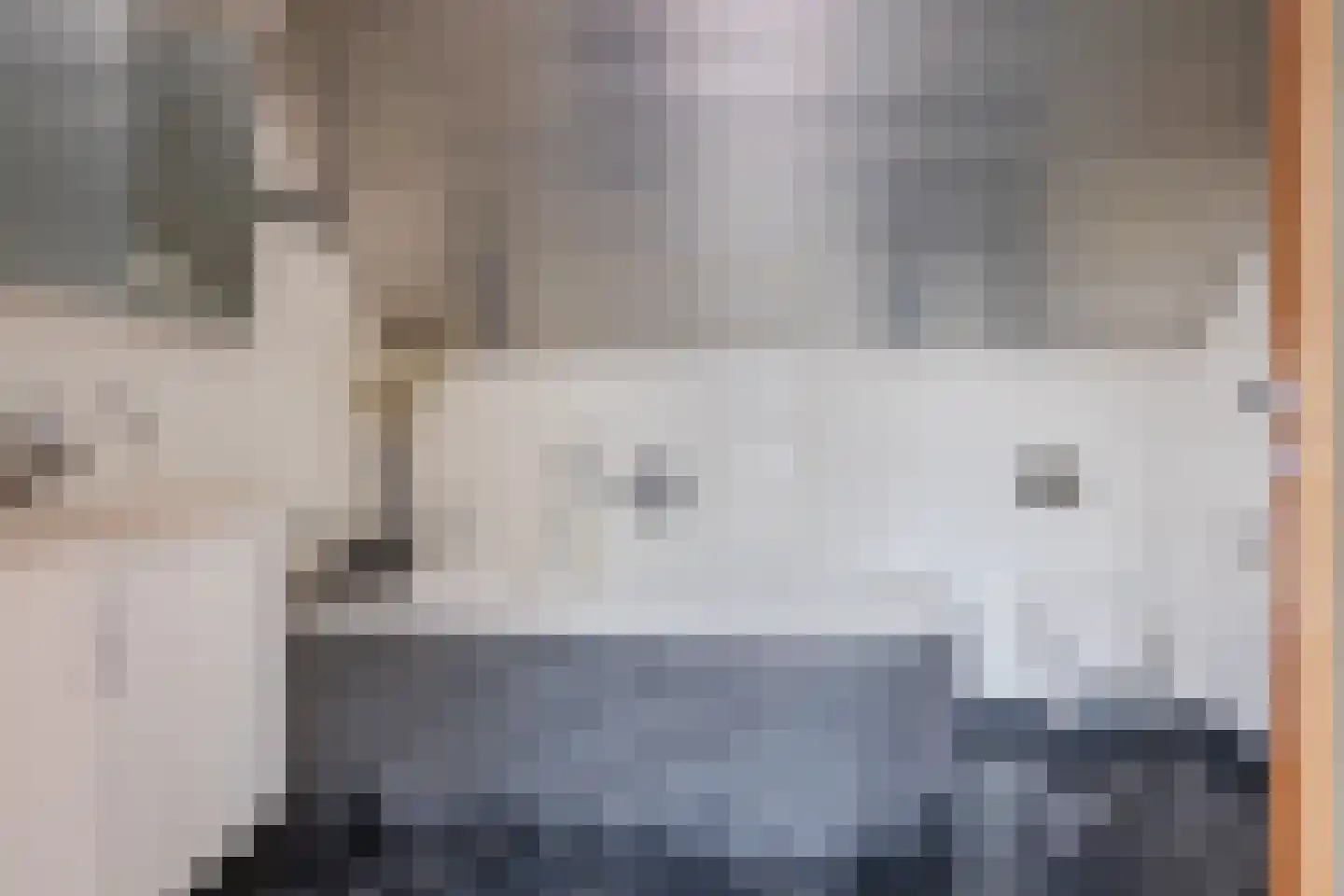 Eksterdonk 8 Veghel thumbnail 23